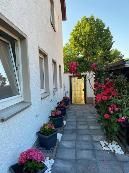 Appartamento Bronzetaler Bad Harzburg Esterno foto